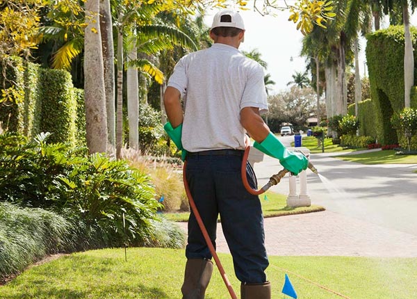 About Ray Brook NY Pest Control